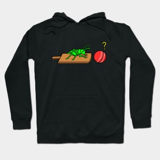 Cute cricket Hoodie